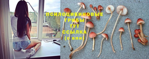 кристаллы Арсеньев