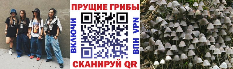 Галлюциногенные грибы ЛСД  Калач-на-Дону 